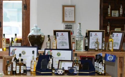  Türk Zeytinyağına Uluslararası Ödüller 